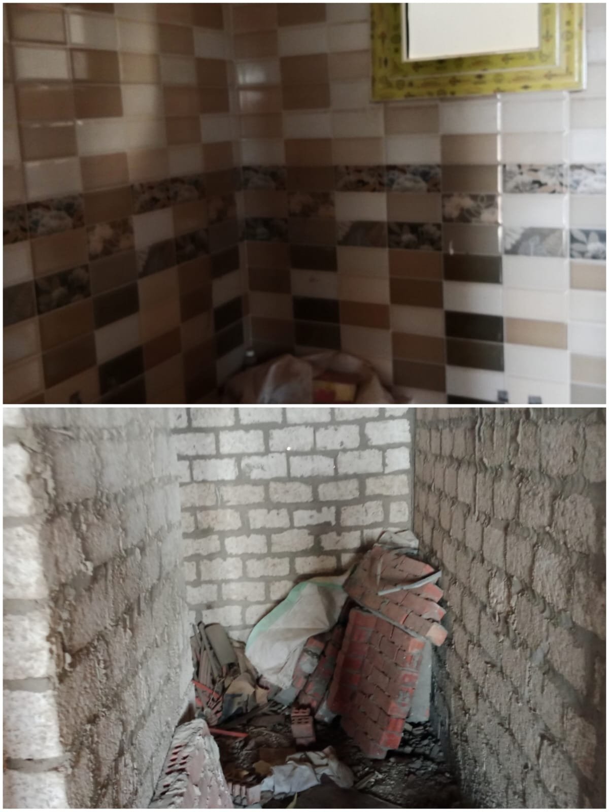 WhatsApp Image 2025-01-21 at 12.06.52 PM