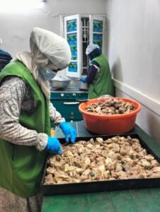 WhatsApp Image 2025-04-09 at 09.55